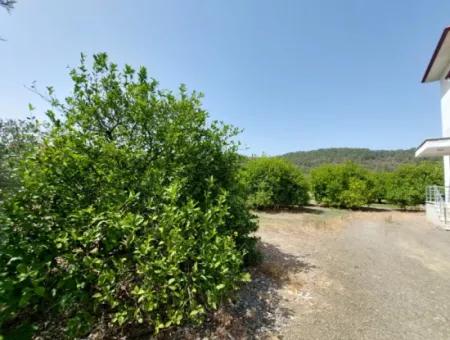 Muğla Ortaca Ekşiliyurtta Residential Zoned Detached 2 000M2 Land For Sale