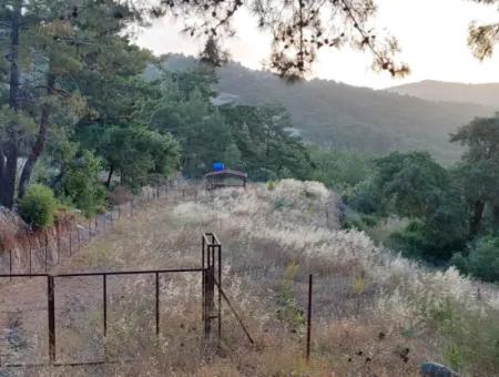 Muğla, Ula, Çiçeklide, 1.586 M2 Detached Land For Sale