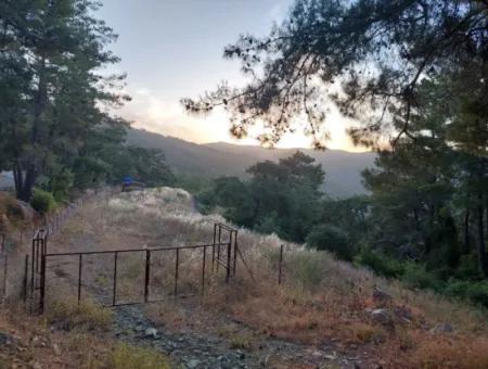 Muğla, Ula, Çiçeklide, 1.586 M2 Detached Land For Sale