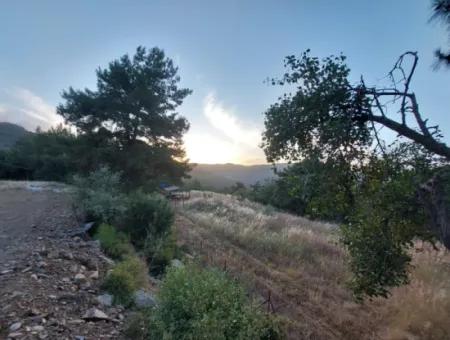 Muğla, Ula, Çiçeklide, 1.586 M2 Detached Land For Sale