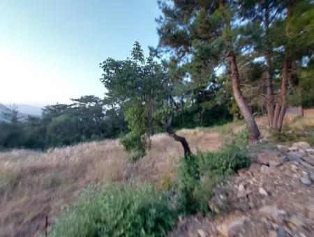 Muğla, Ula, Çiçeklide, 1.586 M2 Detached Land For Sale