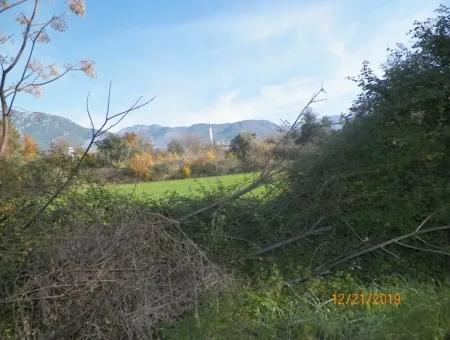 Land For Sale In Bargain Detached Zeytinalani