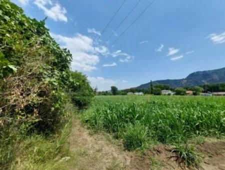 680M2 Bargain Land Suitable For Investment For Sale On The Border Of Dalyan In Ortaca Okçular