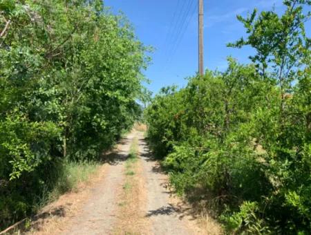 1120 M2 Land For Sale In Ortaca Akıncı