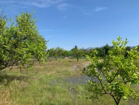 1120 M2 Land For Sale In Ortaca Akıncı