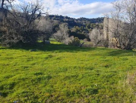 Denizli Çameli Kirazlıyayla Nature View 2 223 M2 Detached Land For Sale