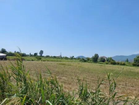 20.600 M2 Of Land In Ortaca Dalyan, 250 M2 Of Detached Land With The Right To Build A House Is For Sale