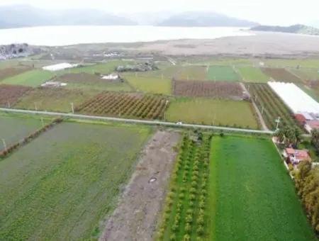 4100M2 Field For Sale Close To Lake In Dalyanda, Muğla