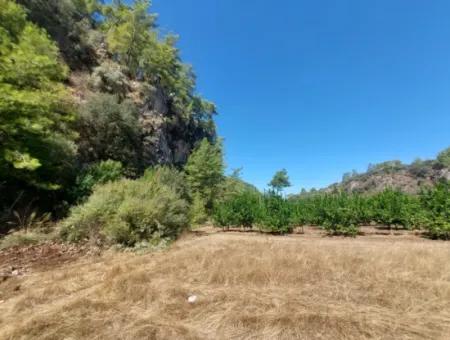 4.427 M2 Fertile Land With Mountain And Nature View In Ortaca Okçular For Sale