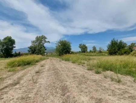 Mountainfront Fertile 1.680 M2 Land For Sale In Dalyan, Muğla