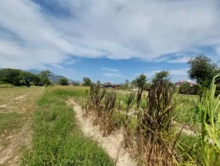 Mountainfront Fertile 1.680 M2 Land For Sale In Dalyan, Muğla