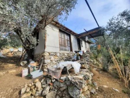 11,650M2 Detached Land With Sea View And 1 1 House For Sale In Gocek Gökçeovacik