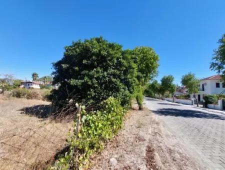 Muğla Dalyan 970 M2 Commercial Zoned Bargain Land For Sale