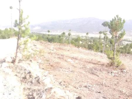 400 M2 0/60 Zoned Land In Denizli Çameli Center For Urgent Sale