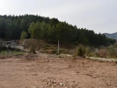 Farm For Sale Incirkoy Fethiye Bargain