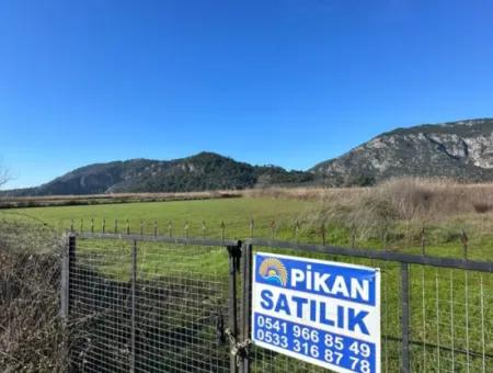 Fields Suitable For Cooperative In Ortaca Güzelyurt Are For Sale