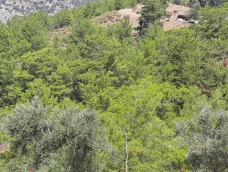 239 M2 Detached Land With Bargain Sea View For Sale In Muğla Ortaca Gökbel