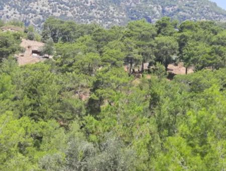 239 M2 Detached Land With Bargain Sea View For Sale In Muğla Ortaca Gökbel