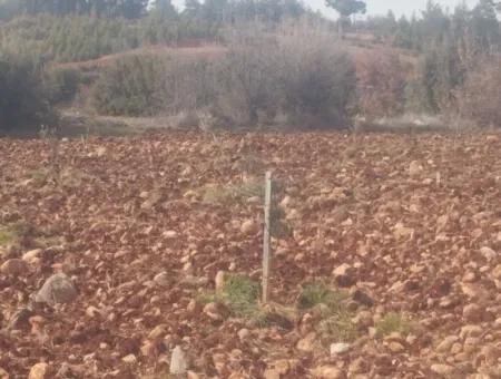 3.030 M2 Detached Land With Title Deed For Sale In Denizli Beyağaç Cumhuriyet