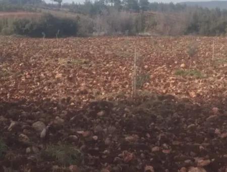 3.030 M2 Detached Land With Title Deed For Sale In Denizli Beyağaç Cumhuriyet