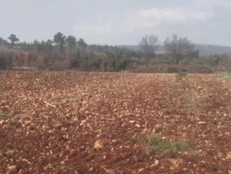 3.030 M2 Detached Land With Title Deed For Sale In Denizli Beyağaç Cumhuriyet