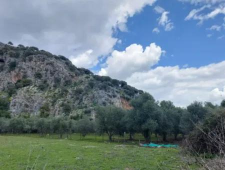 Muğla Köyceğiz Çandırda 3.750 M2 Land For Sale Close To Dalyan Canal