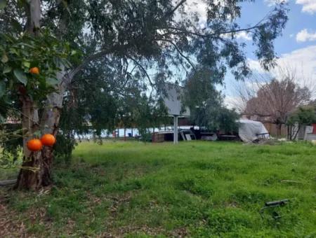 Muğla Köyceğiz Çandırda 3.750 M2 Land For Sale Close To Dalyan Canal