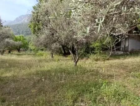 1228 M2 Land And Kargir House For Sale In Muğla Menteşe Yaraş, Village In Village.   