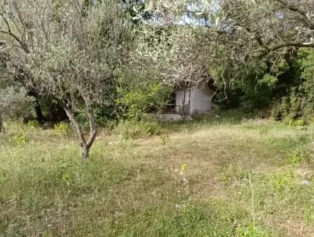 1228 M2 Land And Kargir House For Sale In Muğla Menteşe Yaraş, Village In Village.   