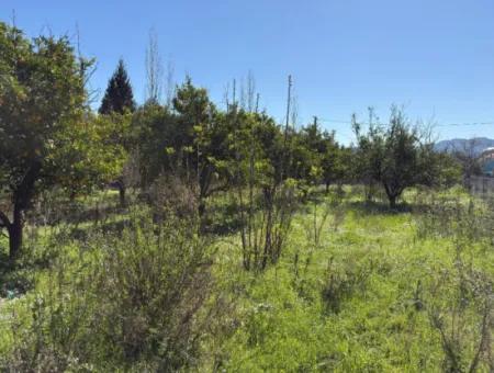 1000 M2 Land For Sale In Köyceğiz Çandır