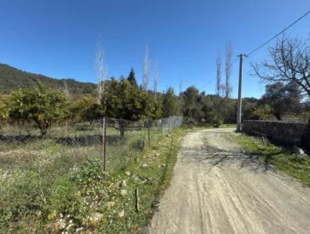 1000 M2 Land For Sale In Köyceğiz Çandır