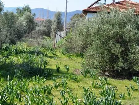 Villa For Sale Bargain Ortaca In The Plot