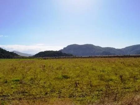 Farm For Sale Bargain In Dalyan