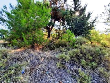 Plot Of Land With Sea Views For Sale In Fethiye Ciftlikkoy