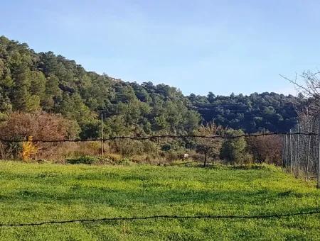 620 M2 Land For Sale In Sarigerme