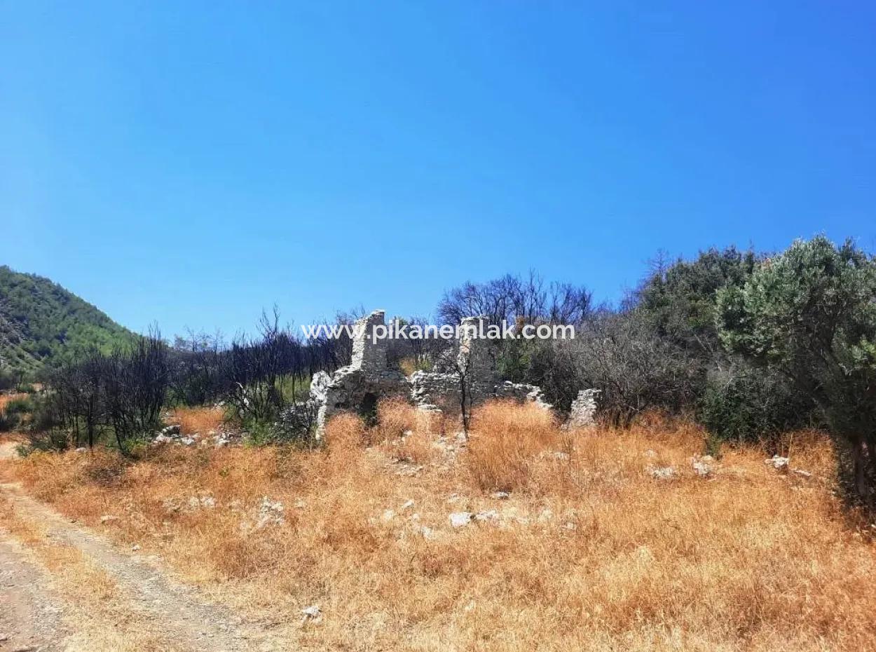 Muğla Dalamanda 42.432M2 Müstakil Tapulu Arazi Satılık