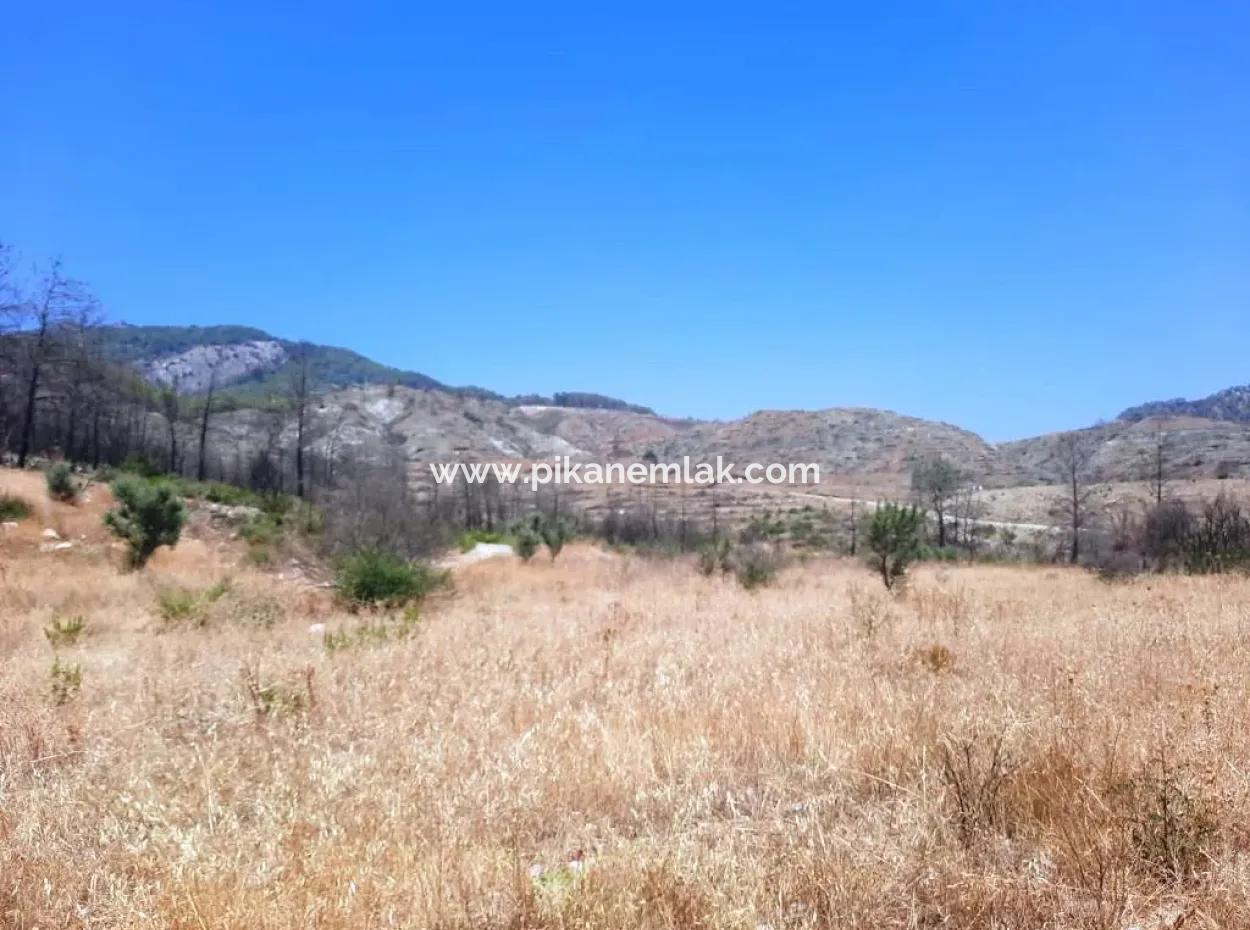 Muğla Dalamanda 42.432M2 Müstakil Tapulu Arazi Satılık