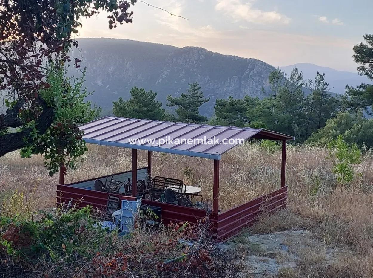 Muğla, Ula, Çiçeklide, 1.586 M2 Müstakil Tapulu Arazi Satılık