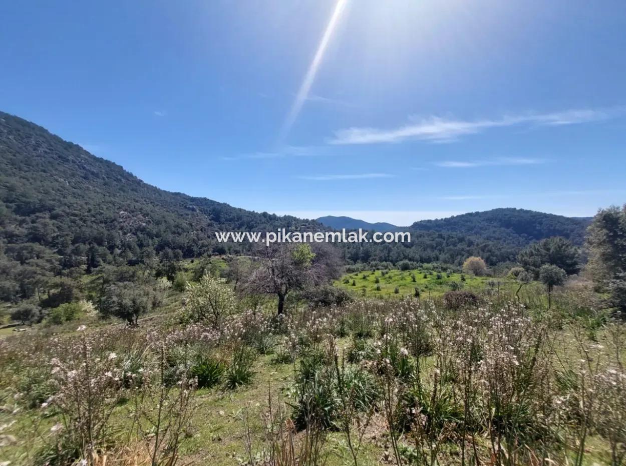 Ortaca Gökbelde 1896 M2 Doğa İçinde Arazi Satılık