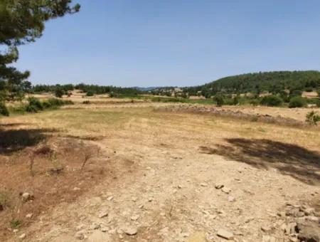 Muğla Menteşe Denizovada 1869 M2 Kelepir Tarla Satılık