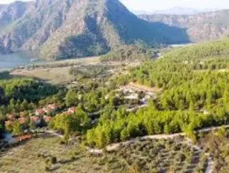 Muğla Dalamanda Baraj Manzaralı 1.000 M2 Konut İmarlı Doğa İçinde Arsa Satılık