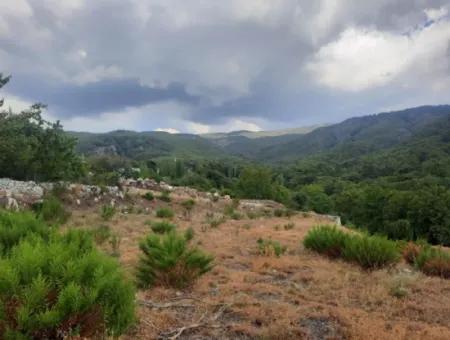 Muğla Köyceğiz Ağla, Yaylada 1 758 M2, İmarlı Arsa Satılık