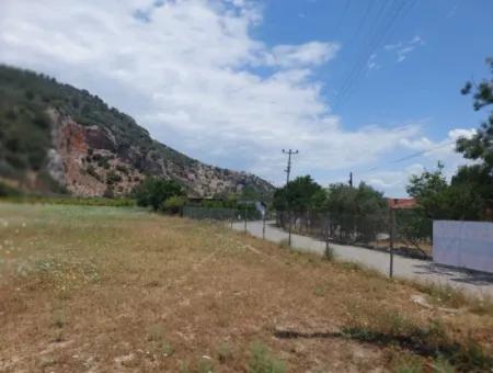 Köyceğiz Çandırda  Müstakil Tapulu 33.800 M2 Tarla Satılık