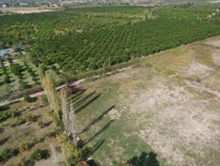 Ortaca Okçular Satılık Yatırıma Uygun 500 M2 Arsa