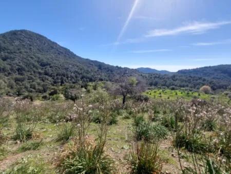 Ortaca Gökbelde 1896 M2 Doğa İçinde Arazi Satılık