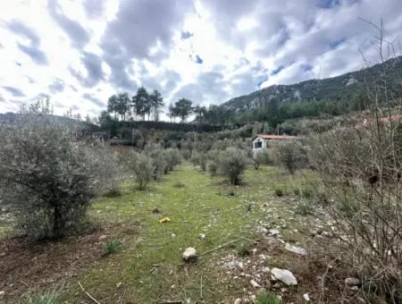 Fethiye Gökçeovacıkta Satılık 1709 M2