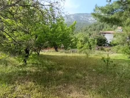 Muğla Menteşe Yaraş'ta Köy İçinde İmarlı 1228 M2 Arsa Ve Kargır Ev Satılık.   