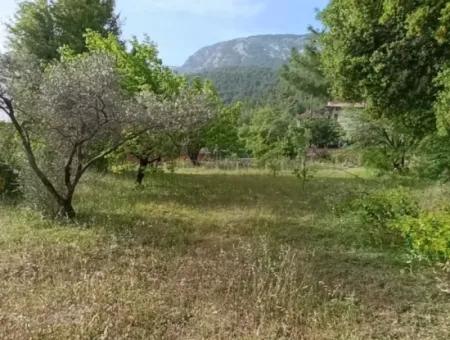 Muğla Menteşe Yaraş'ta Köy İçinde İmarlı 1228 M2 Arsa Ve Kargır Ev Satılık.   